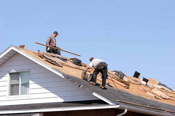 Roof Coating Services in Waconia, MN
